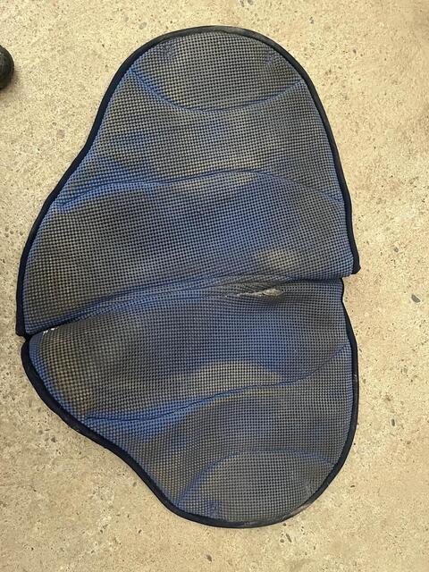 Tapis burioni