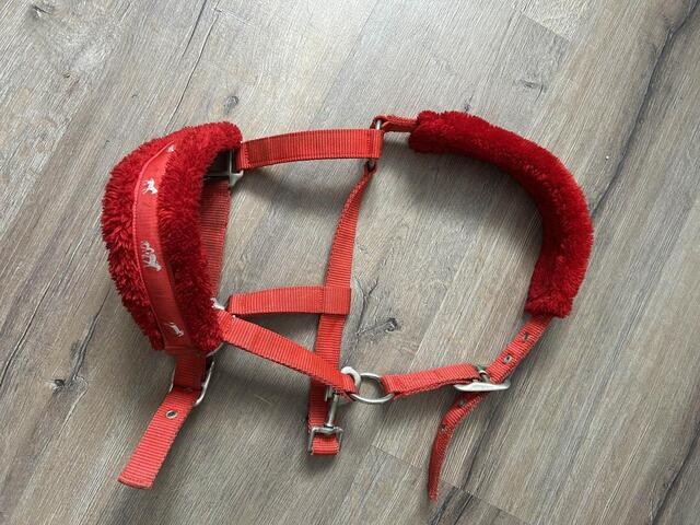licole rouge moumoute