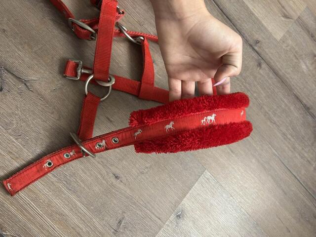 licole rouge moumoute