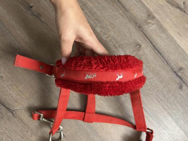 licole rouge moumoute