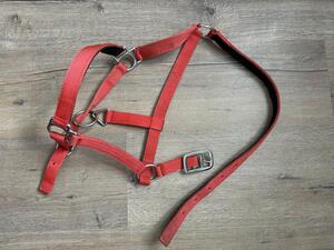 licole simple rouge