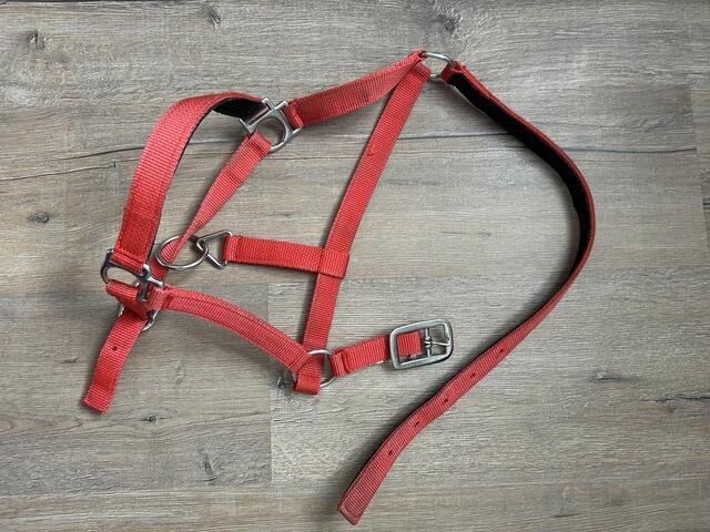 licole simple rouge