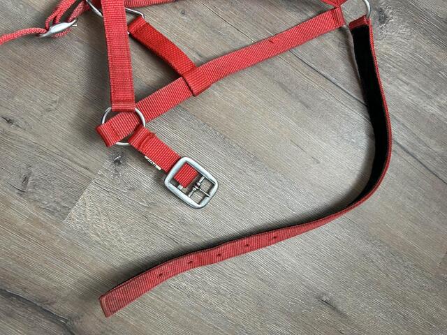 licole simple rouge