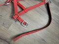 licole simple rouge
