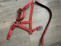 licole simple rouge