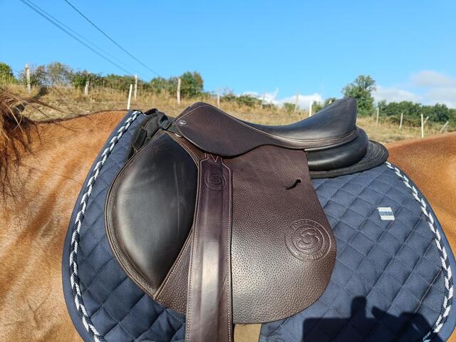 Selle + accessoires Forestier