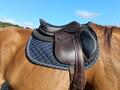Selle + accessoires Forestier