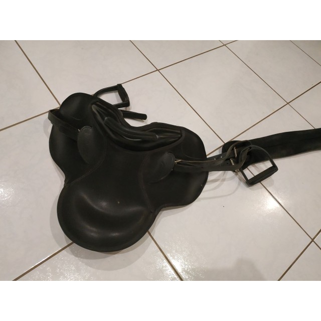 Bardette Wintec tout équipée