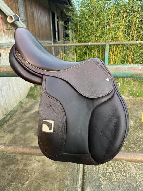 selle Childéric 2022