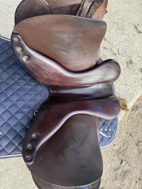 selle Childéric 2022