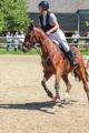 Collier de chasse+martinguale jump’in