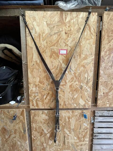 Collier de chasse+martinguale jump’in