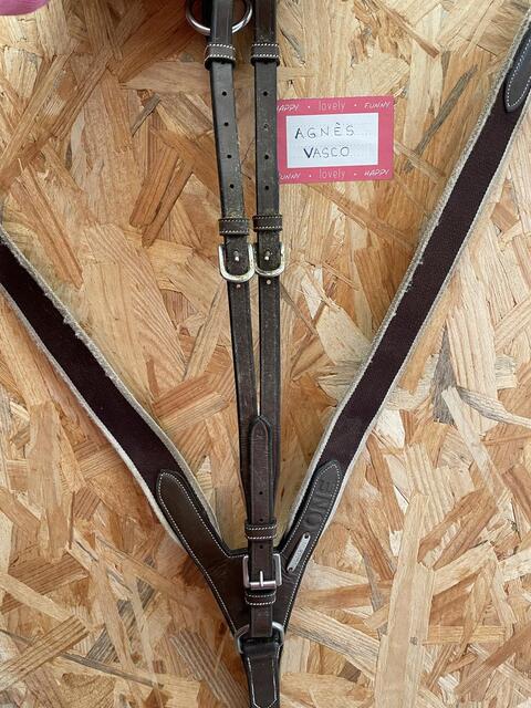 Collier de chasse+martinguale jump’in