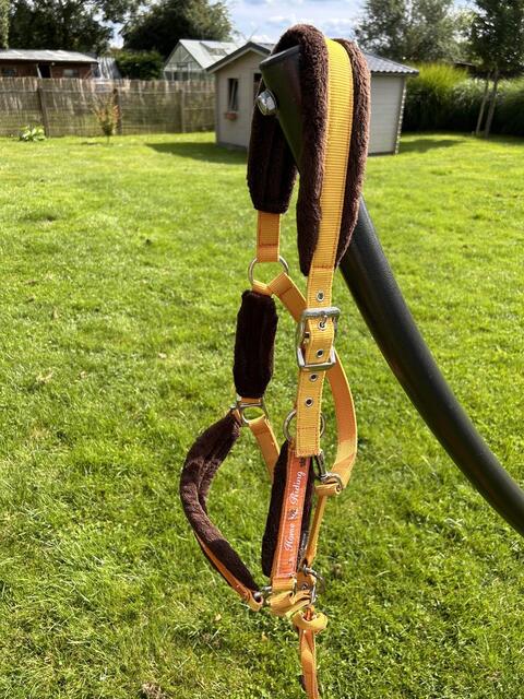 Licol + corde Fouganza Orange