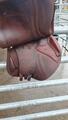 Selle CWD