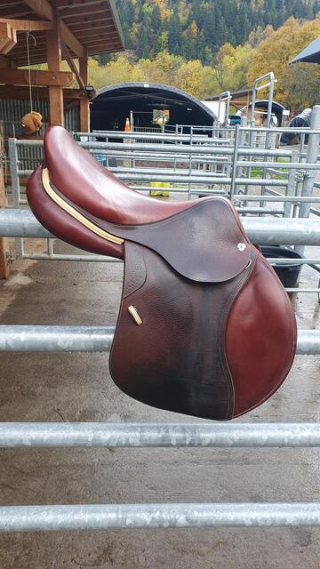 Selle CWD