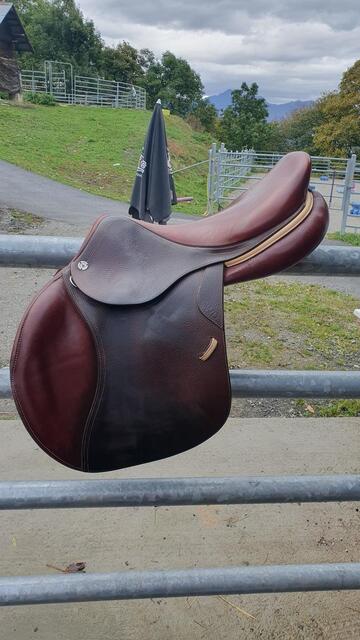 Selle CWD