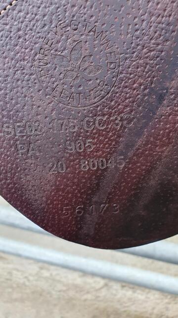 Selle CWD