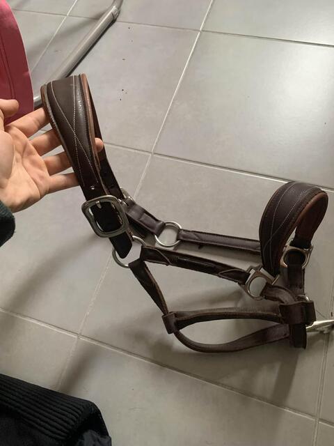 Licol en cuir