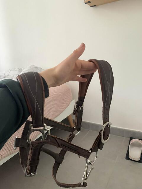 Licol en cuir