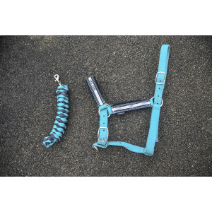 licol vert turquoise avec longe taille cheval