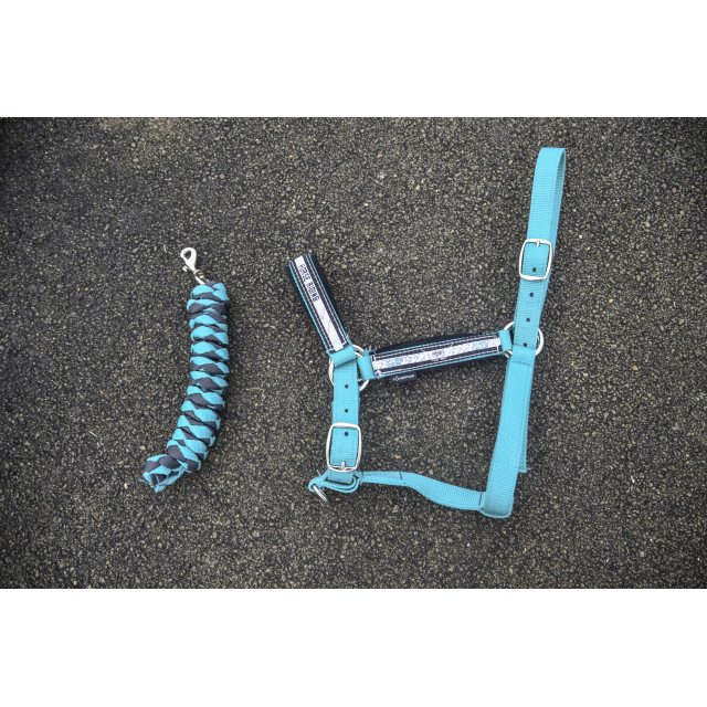 licol vert turquoise avec longe taille cheval