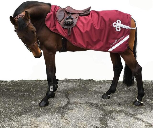 Couvre rein Alexandra Sportwear