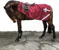 Couvre rein Alexandra Sportwear