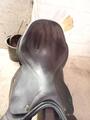Selle cso Hulsebos 17"3/4