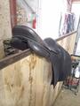 Selle cso Hulsebos 17"3/4