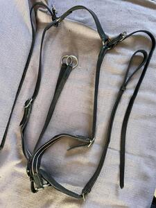 collier de chasse et martinguale cheval