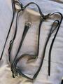 collier de chasse et martinguale cheval