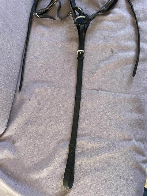 collier de chasse et martinguale cheval