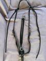 collier de chasse et martinguale cheval