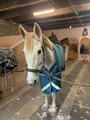 Couverture horseware amigo bravo 12 plus