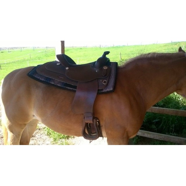 Selle western