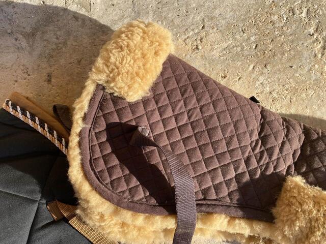 Ensemble tapis et amortisseur