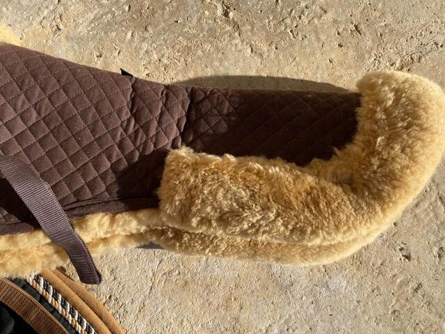 Ensemble tapis et amortisseur
