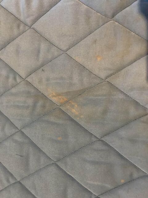 Tapis Harry’s Horses