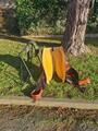 Selle Western Billy Cook all around 16