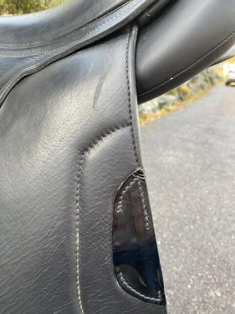 Selle Antares modèle Tempo