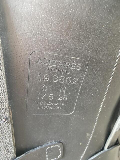 Selle Antares modèle Tempo
