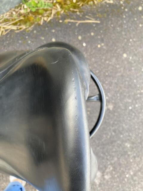 Selle Antares modèle Tempo