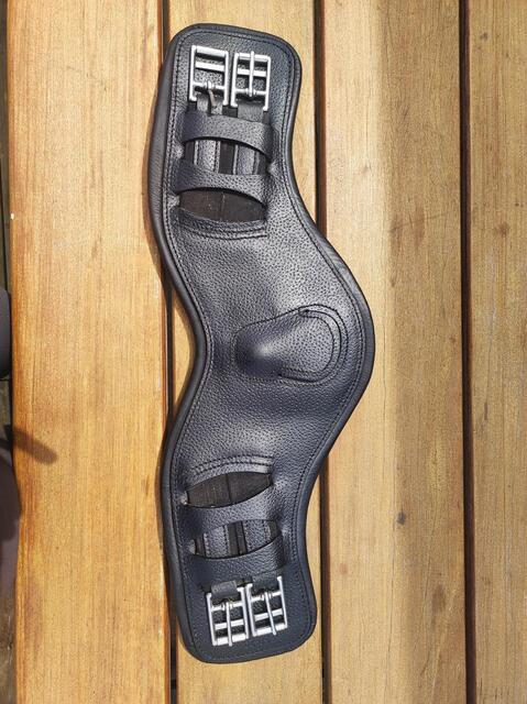Sangle de dressage