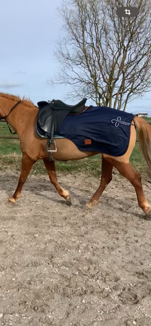 Couvre reins 125