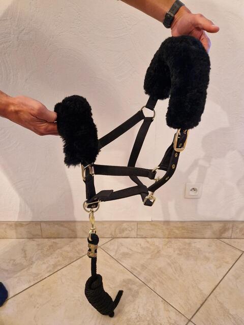 Licol en fourrure noir + longe