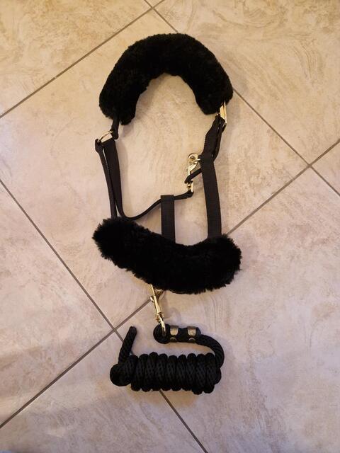 Licol en fourrure noir + longe