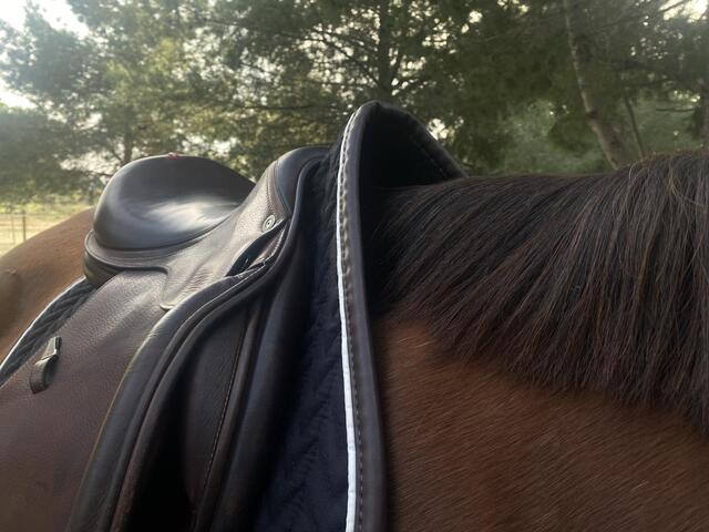 Selle Équipe