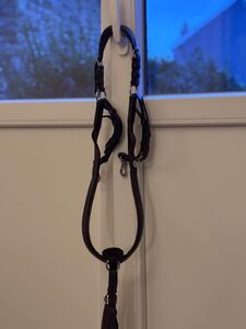 collier de chasse dyon
