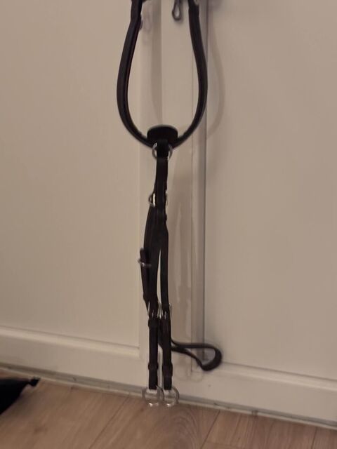 collier de chasse dyon